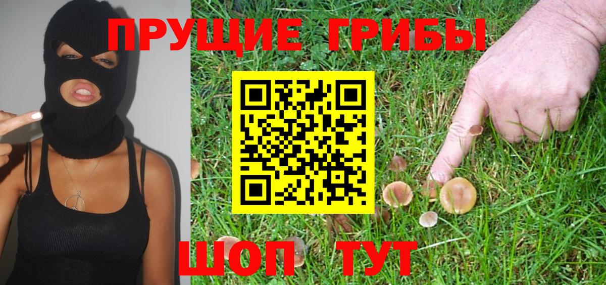 Галлюциногенные грибы мицелий  Вход с VPN  сколько стоит  Вологда 