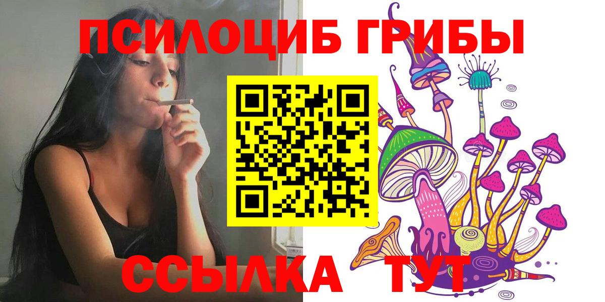 Псилоцибиновые грибы мицелий Вологда
